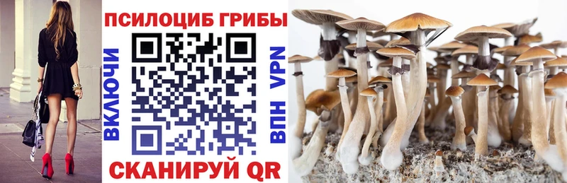 Галлюциногенные грибы Psilocybine cubensis Арск